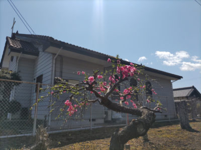 復活祭の日・教会にそそぐ光